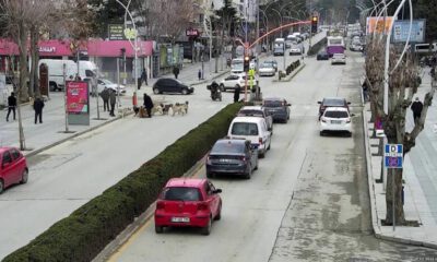 Başkan yardımcısı saldırıya uğrayan köpeği böyle kurtardı