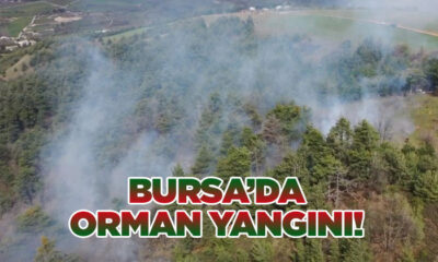 Bursa Dağyenice’de orman yangını