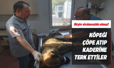 Bursa’da köpeği çöplüğe attılar