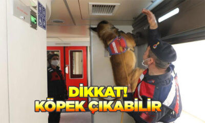 Bursa jandarmasından trende köpekli denetim