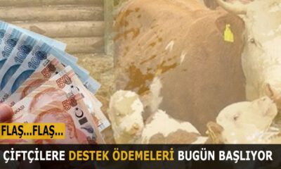 Çiftçilere destek ödemeleri bugün hesaplara yatıyor