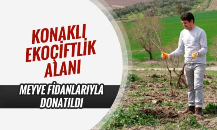 Ekoçiftlik meyve fidanlarıyla donatıldı