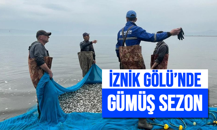 İznik Gölü’nde gümüş balığı sezonu açıldı