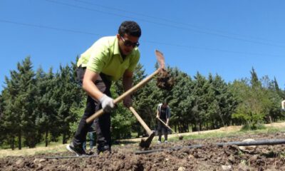 3 bin kilometre uzaktan doğru tarım için geldiler