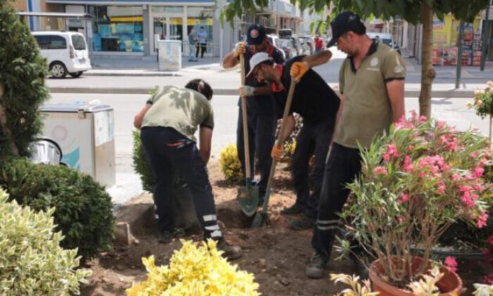 Gürsu’nun caddelerine rengarenk çiçeklerle yaz coşkusu