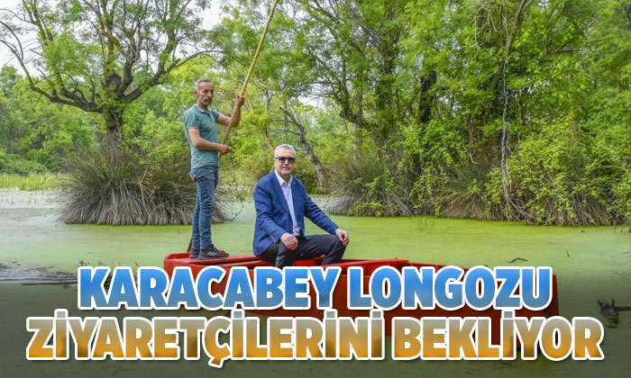 Karacabey’in doğa harikası longoz ormanları ziyaretçilerini bekliyor