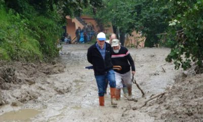 Ordu’da heyelan sonucu 4 ev hasar aldı, bir köprü uçtu, heyelan yollara zarar verdi