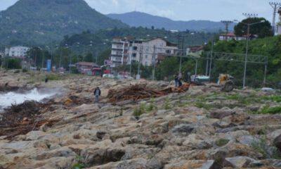 Sel sonrası kıyıya vuran odunlar, vatandaşlar tarafından toplanıyor