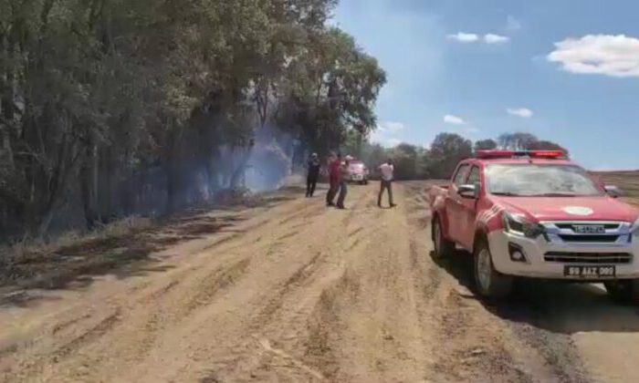 Tekirdağ’da orman yangını kontrol altına alındı