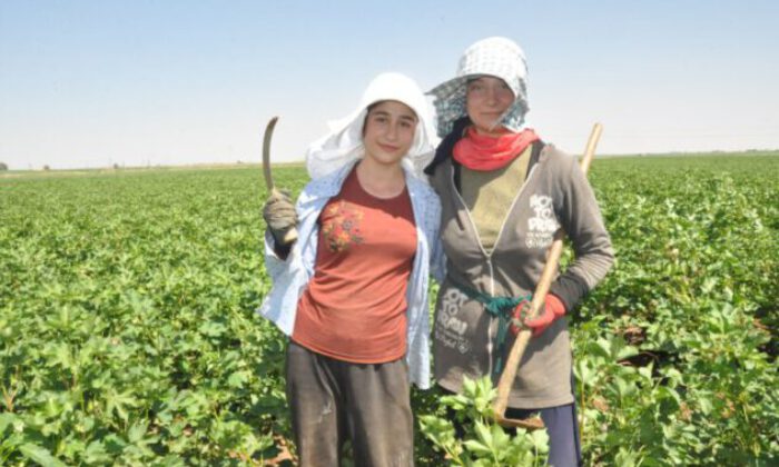 Mardinli kuzenler 45 derece sıcaklıkta eğitim masrafları için çapa salıyor