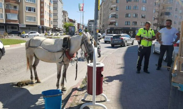 Başıboş at trafiği altüst etti