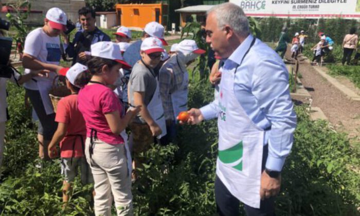 Fatih’te “Çocuk Hasat Bayramı” yapıldı