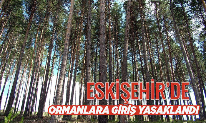 Eskişehir’deki ormanlık alanlara girişler yasaklandı