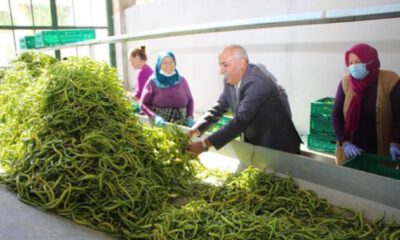 Üretken belediyecilik bilimin gündeminde