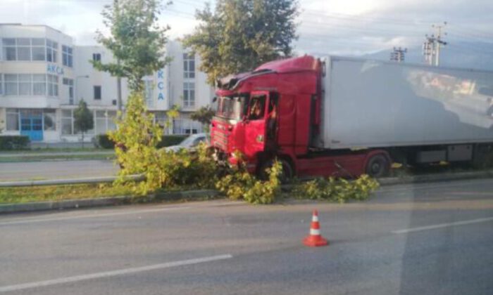 Bursa’da kontrolden çıkar tırı, ağaçlar durdurdu