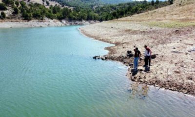 Bursa’da 10 bin yavru sazan balığı suyla buluştu