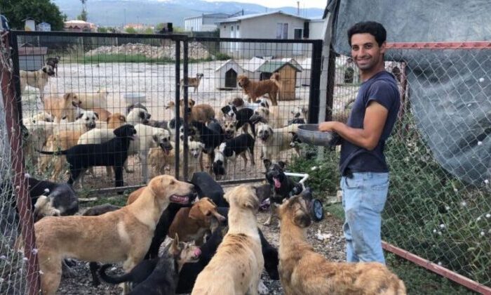 Sokak hayvanlarına hayat veren bağış