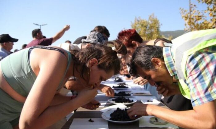 Gemlik Zeytini Festivali’nde renkli görüntüler