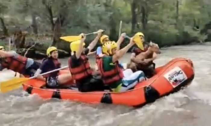 Bursa’da mahsur kalan keçiyi kurtararak birlikte rafting yaptılar