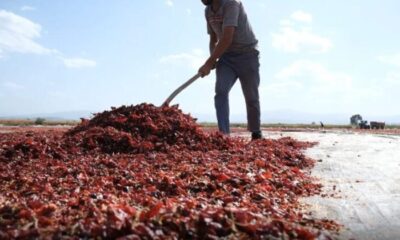 Bursa’nın toz biberi dünya mutfağında