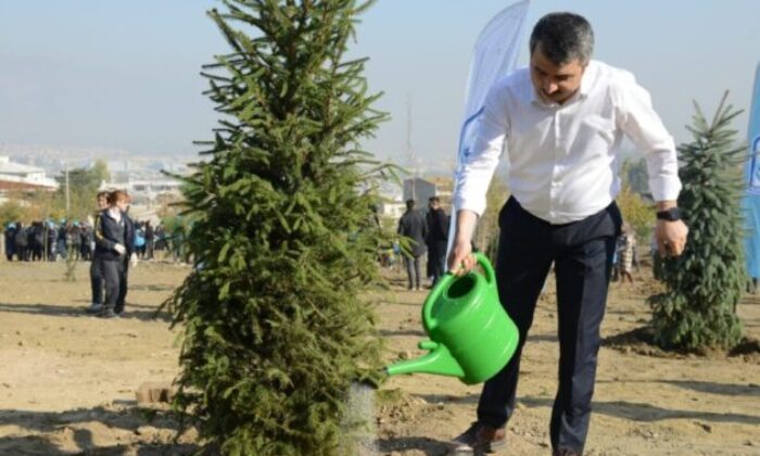 Yıldırım’da 225 bin 250 ağaç kurtarıldı