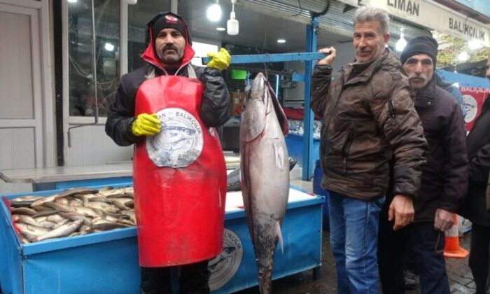 Bu balıkları görenler dönüp bir daha bakıyor, fotoğraf çekiyor