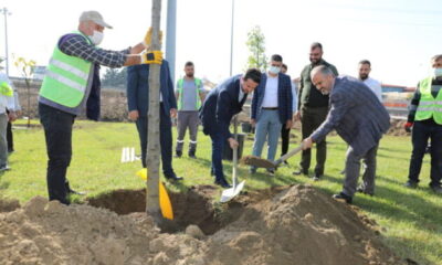 Büyükşehir’le yeniden ‘Yeşil Bursa’