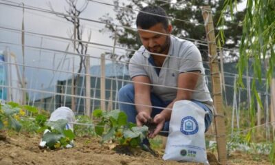 Pazar atıkları üretime can oluyor