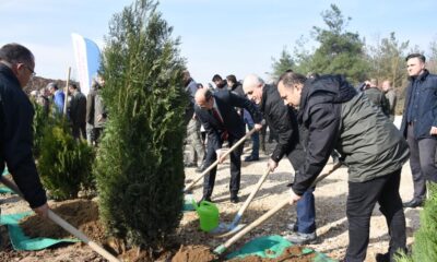 Depremde hayatını kaybeden vatandaşların anısına Bursa’da 8 bin fidan dikildi