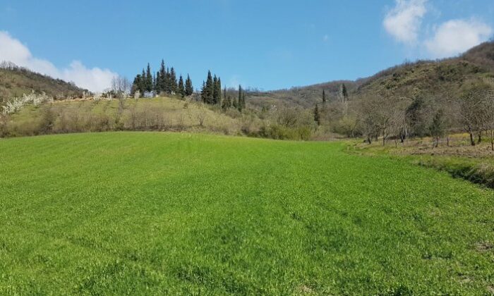 Bursa Osmangazi’de 14.306 m² tarla mahkemeden satılıktır