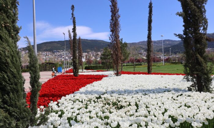 Baharın tüm renkleri Bursa’yı sardı