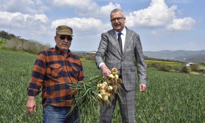 Soğan fiyatları bayramdan sonra düşecek