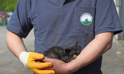 Motora sıkışan kedi için seferberlik