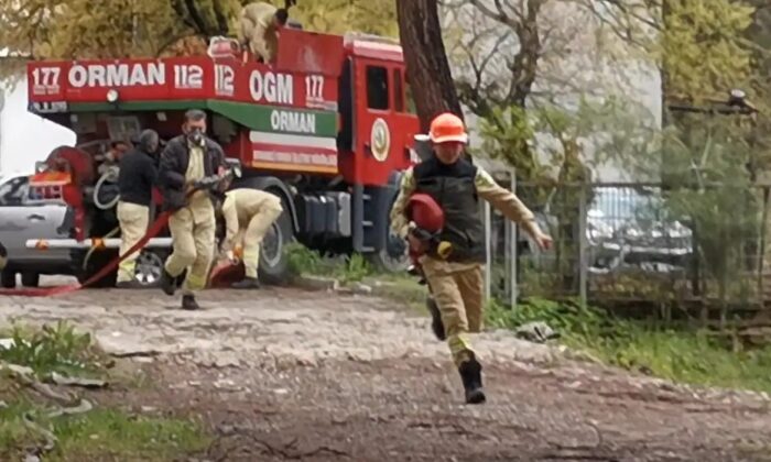 Orman çalışanları yangın söndürme eğitimlerini tamamladı