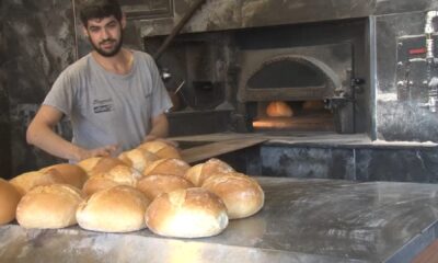 Kavurucu sıcaklar en çok onları etkiliyor