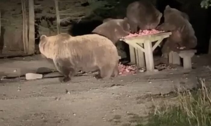 Mekanları basınca, mekan sahipleri onlara böyle ziyafet çekti