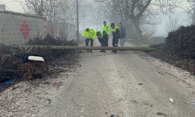 Devrilen direğe çarpan motosikletin sürücüsü yaralandı