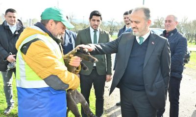 Büyükşehir’le çaresiz değilsiniz