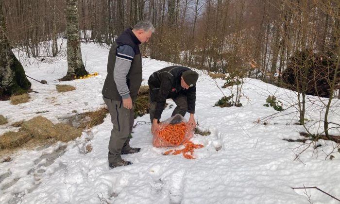 Bursa’da yaban hayvanlarına yem desteği