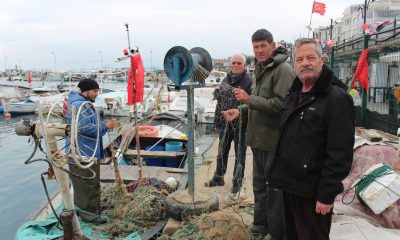 “Gemlik Körfezi büyük balıkçılara yasaklansın” talebi