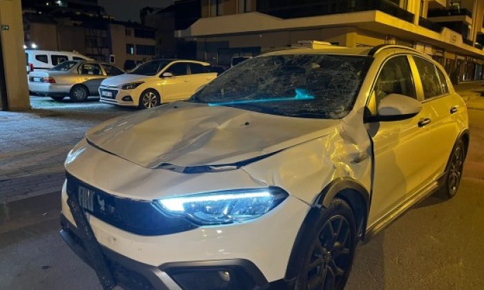 Bursa’da seyir halindeki otomobile at çarptı…