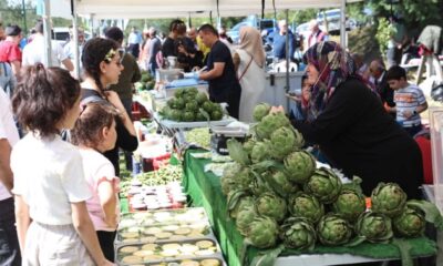 Enginarlı tatlılar festivale damga vurdu