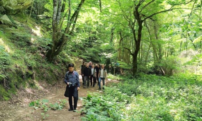 Mustafakemalpaşa ormanları ‘Terapi ormanı’ için mercek altında