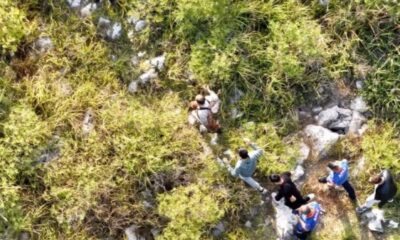 Devasa sazlıklarda sülük toplarken kayboldu, AFAD dron ile buldu