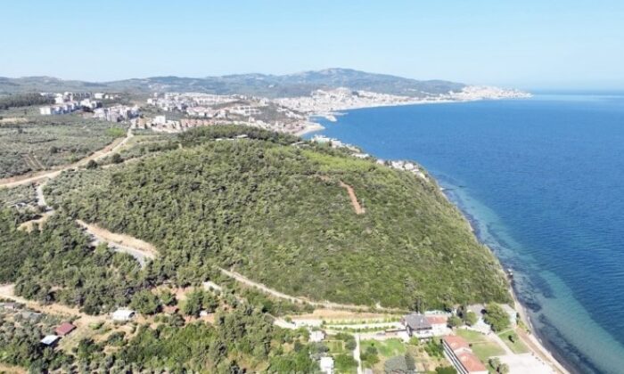 116 dönüm deniz manzaralı ormana Mudanya Belediyesi talip oldu