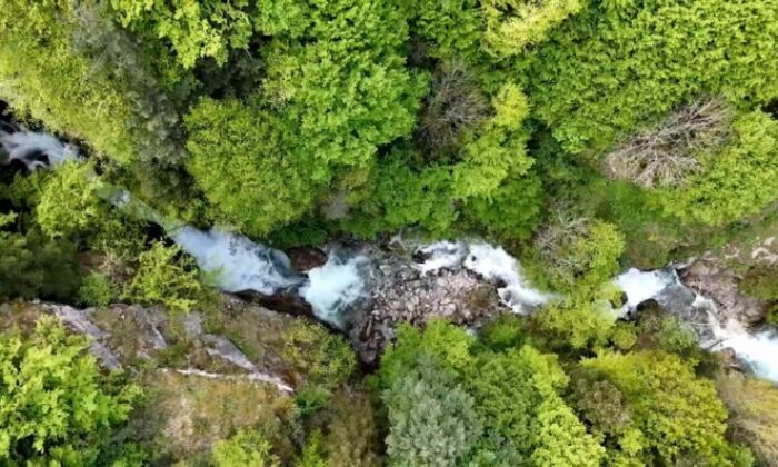 Kestel’de piknik alanları çöplüğe döndü