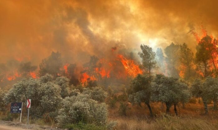 Menderes’teki orman yangınlarına ilişkin 1 kişi tutuklandı