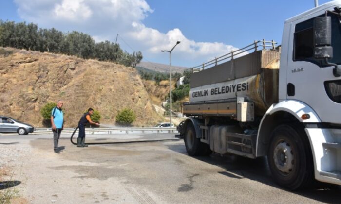 Gemlik’te dört koldan temizlik