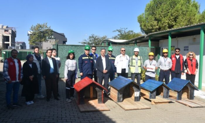 Patili canlar Gemlik Belediyesi’nin koruma altında