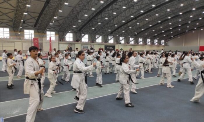 Osmangazi’de ‘karate eğitim semineri’ düzenlendi